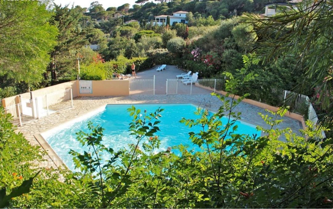 Appartement Studio Bord De Mer Terrasse Vue Mer Piscine à Sainte-Maxime Extérieur photo